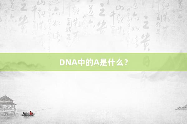 DNA中的A是什么？